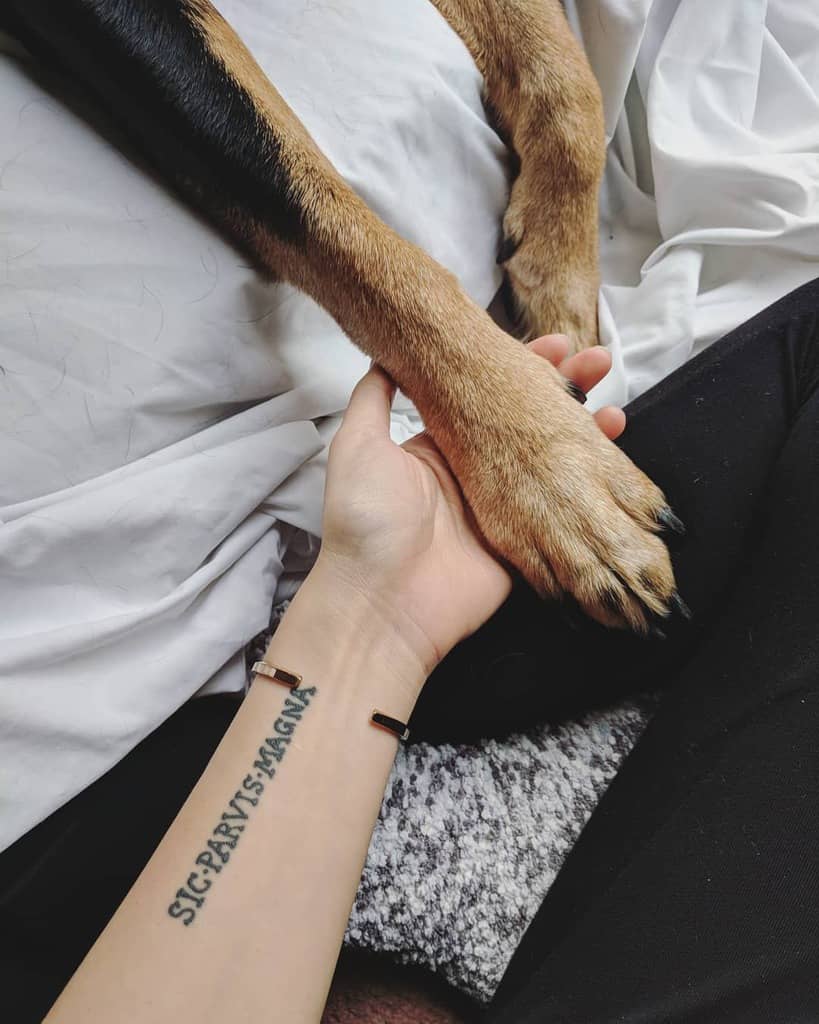 Minimalistic forearm tattoo with 'Sic Parvis Magna' text in bold black lettering