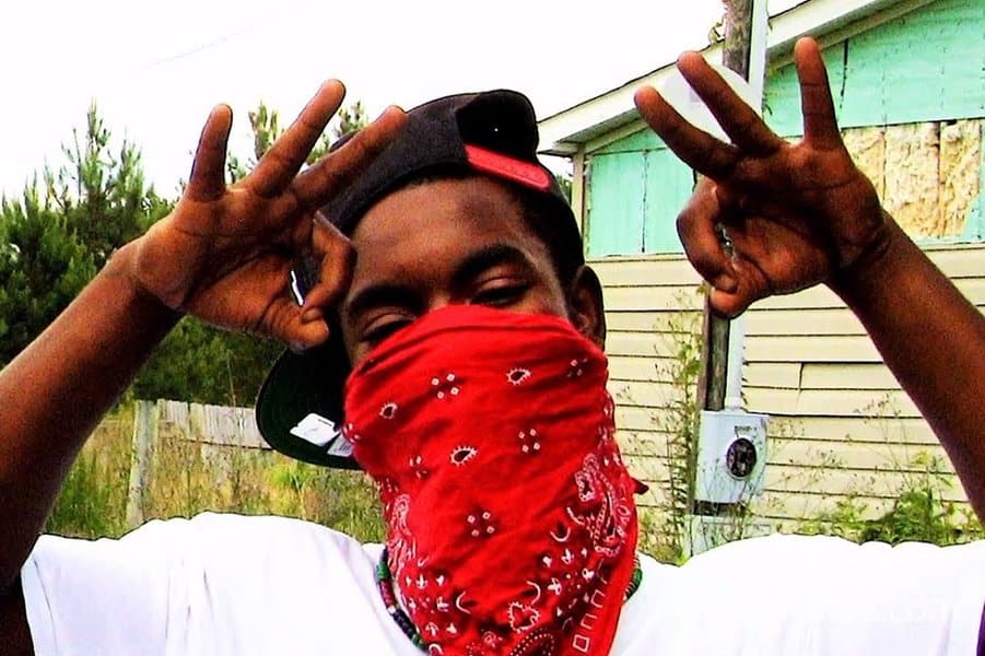 blood gangs in los angeles