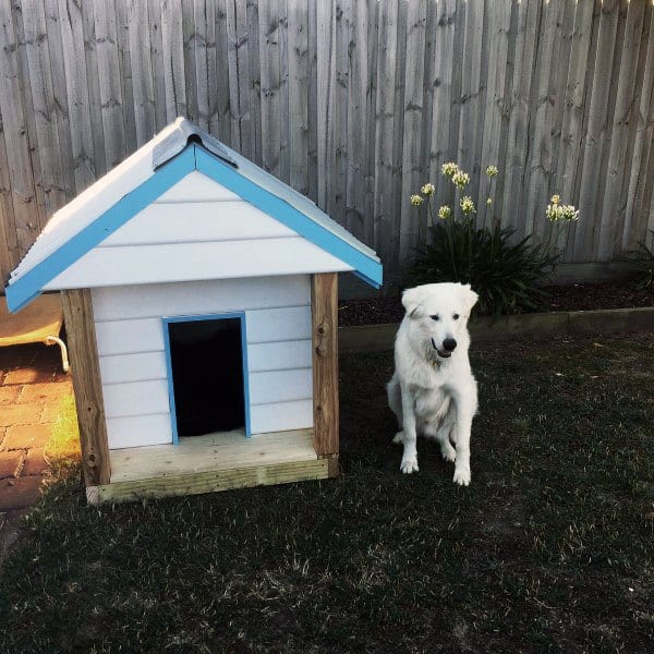 White and blue dog house with a peaked roof, set in a grassy area next to a dog standing outdoors, with flowers in the background