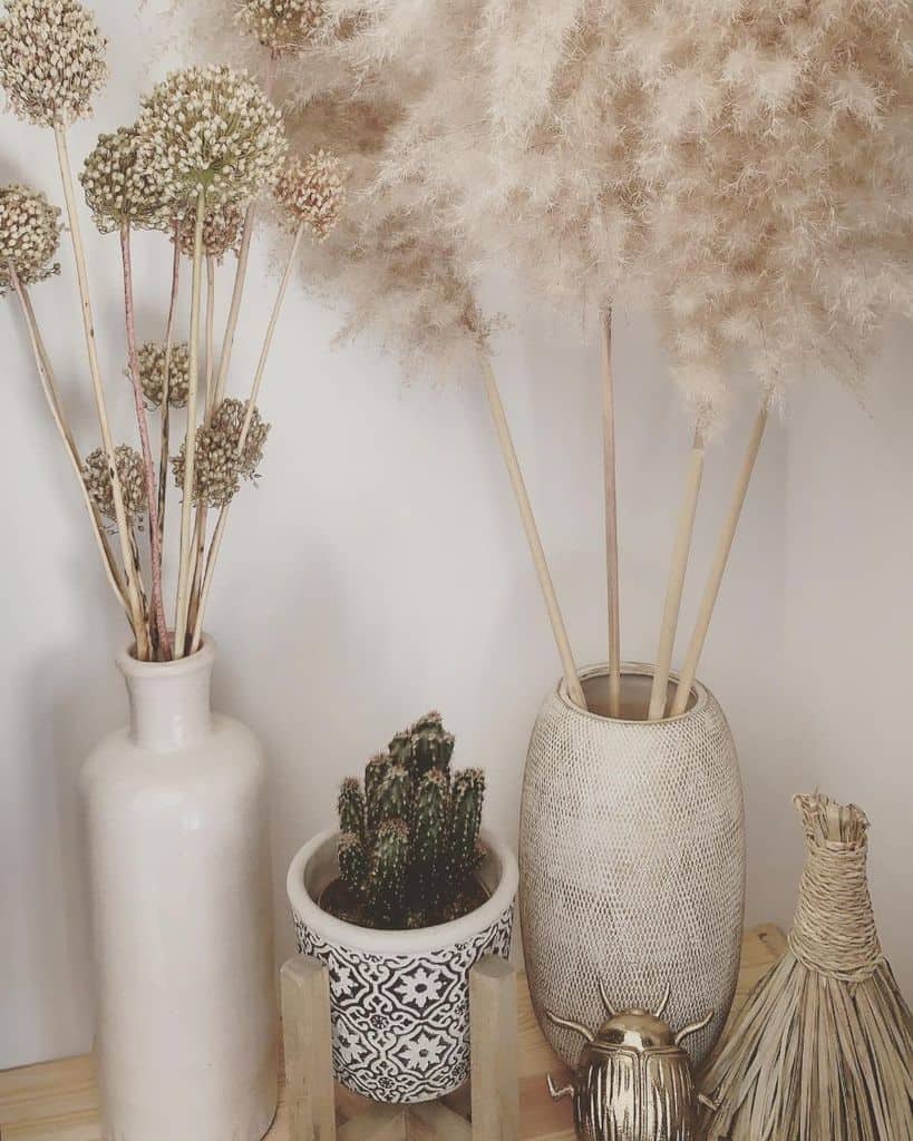 Boho decor with pampas grass, dried flowers, cactus, and ceramic vases on a wooden shelf.