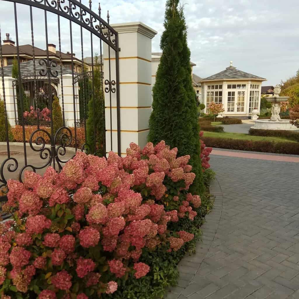 border garden flower bed large house paved driveway