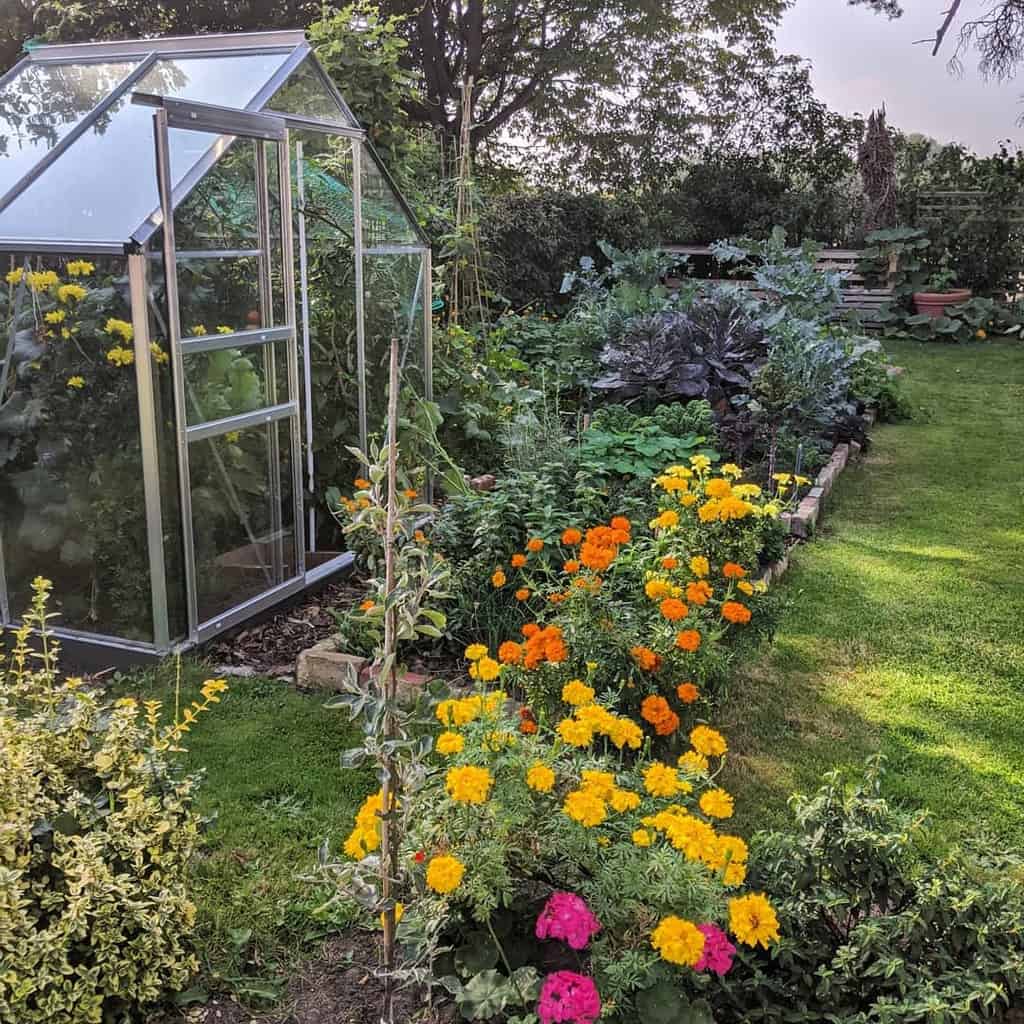 glasshouse flower garden brick border yellow orange and pink flowers