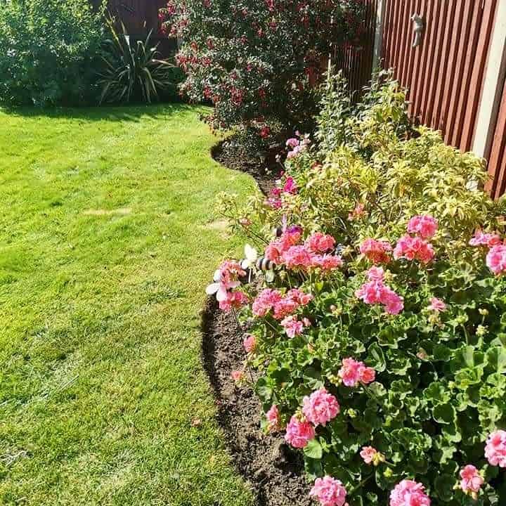 border flower garden bed backyard