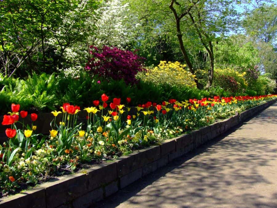 long brick garden bed yellow and red flowers