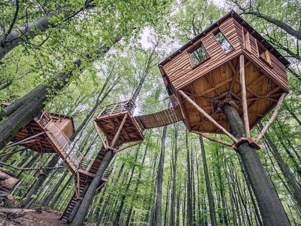 Wooden treehouses connected by bridges in a lush forest with tall green trees