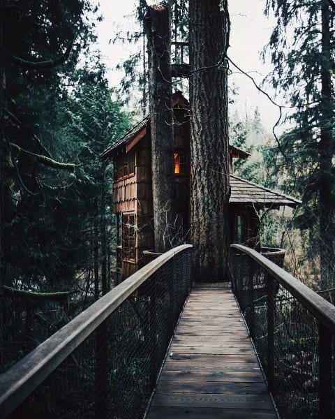 A wooden bridge leads to a cozy treehouse nestled in dense forest with warm light glowing from inside