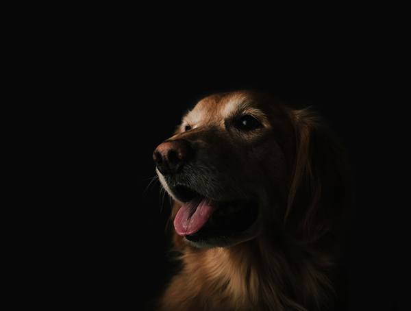 Broken Hearts Life Lessons For Guys