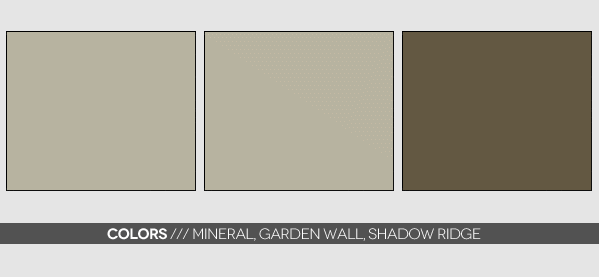 Brown Man Cave Color Palette