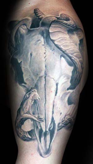 Bull Skull With Snake Guys Arm Tattoos