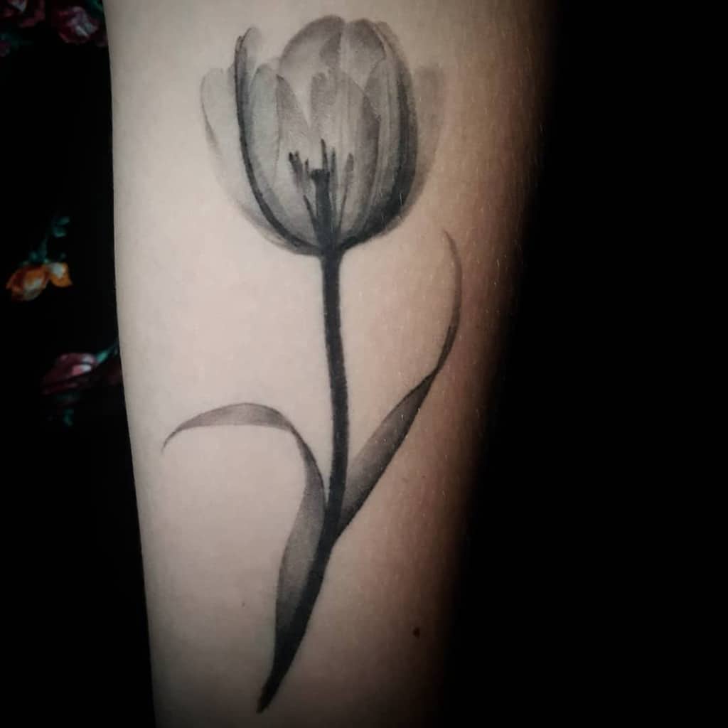 A shaded tulip tattoo with soft grey tones on the forearm, featuring a delicate flower and flowing stem with gentle shading.