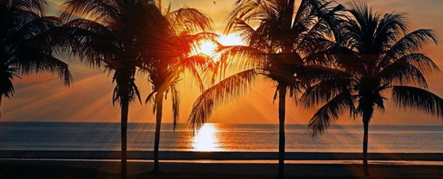 Can You Put Sunscreen On A New Tattoo