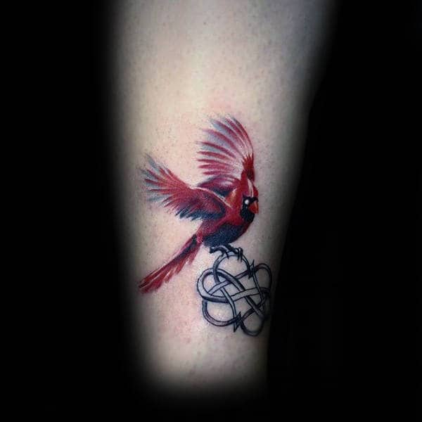 Cardinal Bird Flying With Knot Mens Small Tattoo Ideas