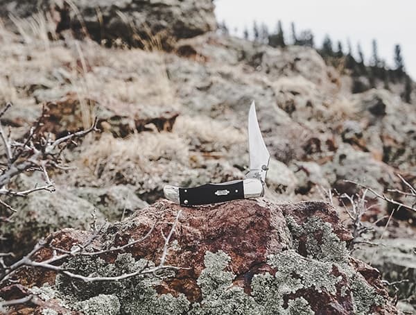 Case Kickstart Hunter Folding Knife Review