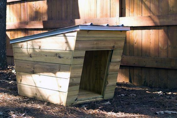 Modern wooden dog house with slanted roof by a fence in a shaded yard, perfect for your furry friend