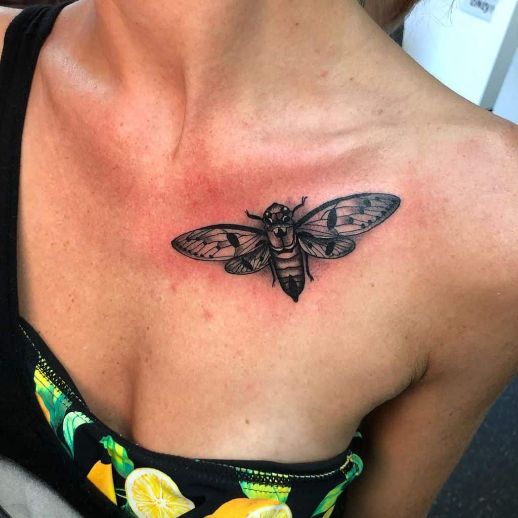 Intricate cicada tattoo placed on the upper chest, showcasing detailed wings and bold black linework for a striking minimalist design