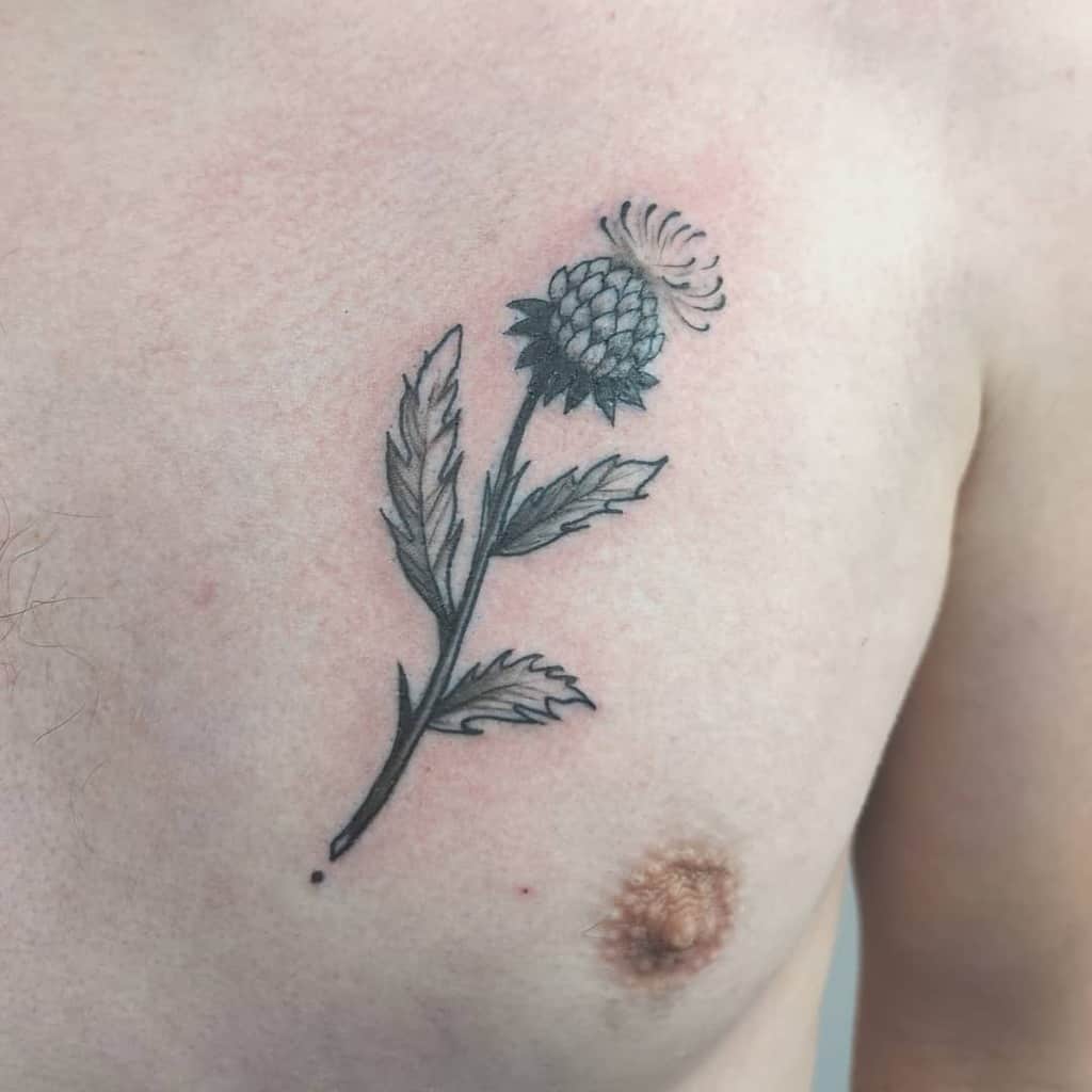 A tattoo of a detailed thistle flower with intricate leaves graces the person's chest