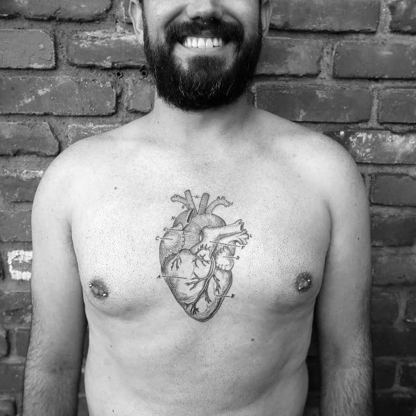 Detailed black ink tattoo of an anatomical heart centered on the chest, featuring fine linework and vein structures.