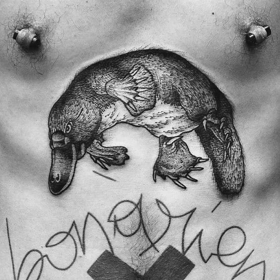 Chest Male Tattoo With Platypus Design