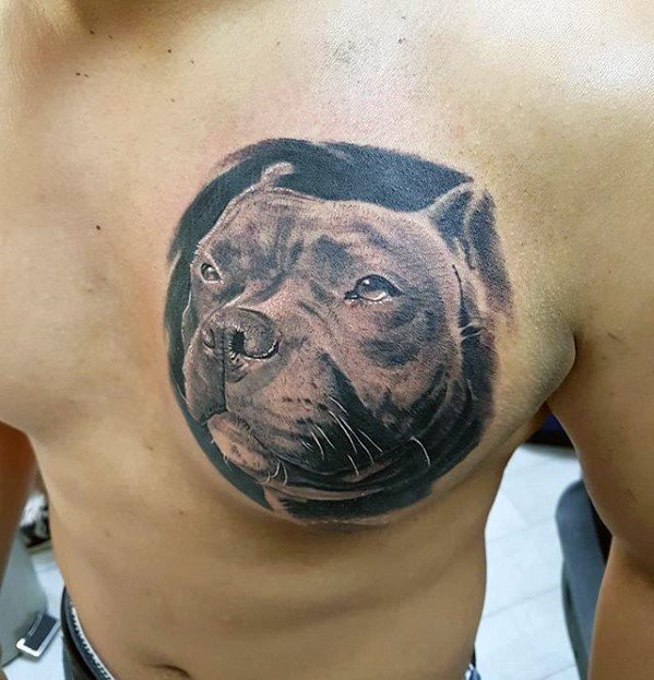 Chest Pitbull Tattoo Design Ideas For Males