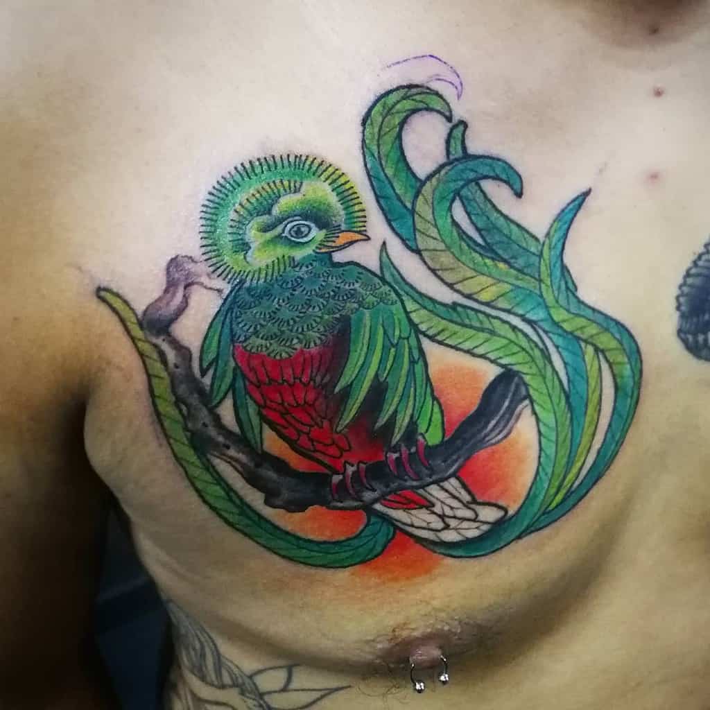 Colorful quetzal tattoo on the chest, featuring a red and green bird perched on a branch with flowing decorative elements and a warm background