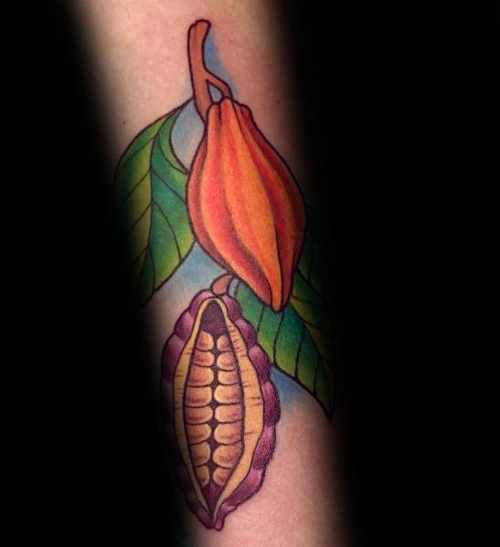 Vibrant tattoo of a cacao pod with one half opened to reveal cocoa beans, featuring rich colors and bold outlines on the forearm.