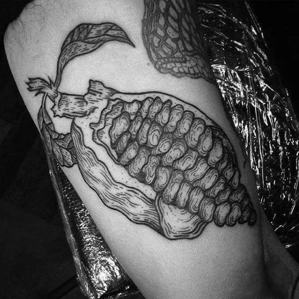 Detailed black and gray tattoo of a cacao pod, partially opened to reveal cocoa beans, with bold shading and intricate linework on the arm.