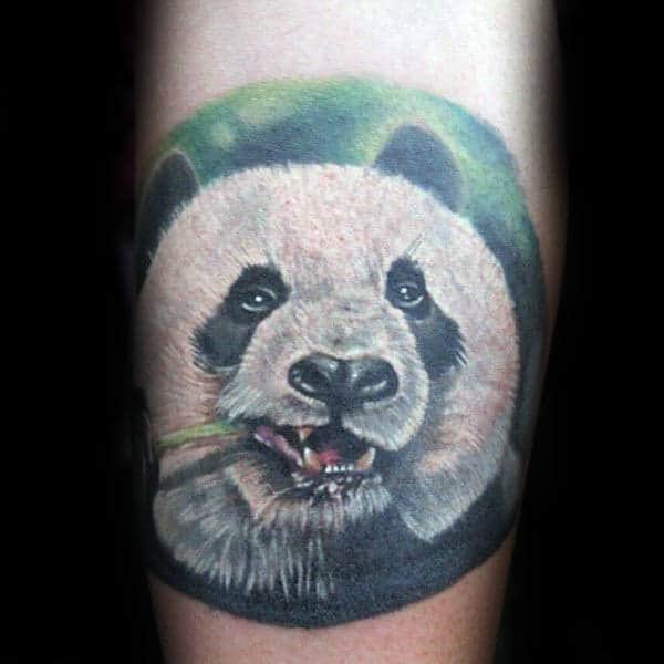 Circle Panda Bear Chewing On Green Plant Stem Mens Tattoos