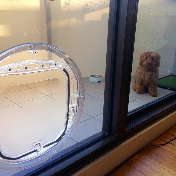 Circular Home Designs Doggy Door