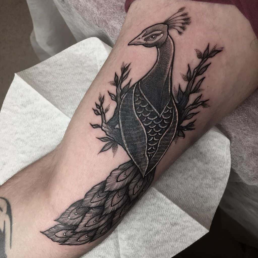 Black and grey peacock tattoo with delicate feathers and foliage, elegantly placed on the forearm.