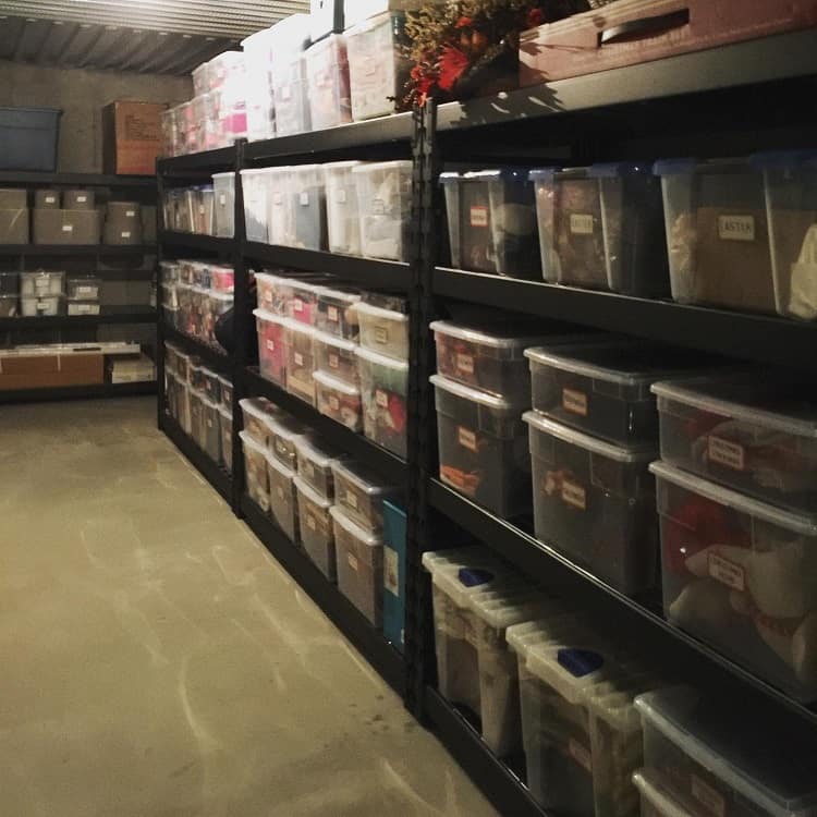 Basement shelves with clear medium-sized labeled storage bins for organized household items.