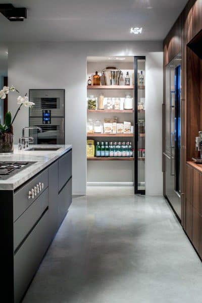 Modern pantry with glass doors, sleek shelving, and organized essentials.