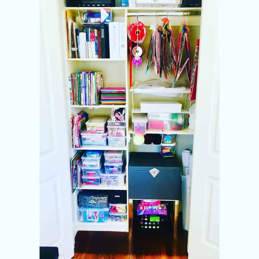 closet office storage shelves plastic tubs