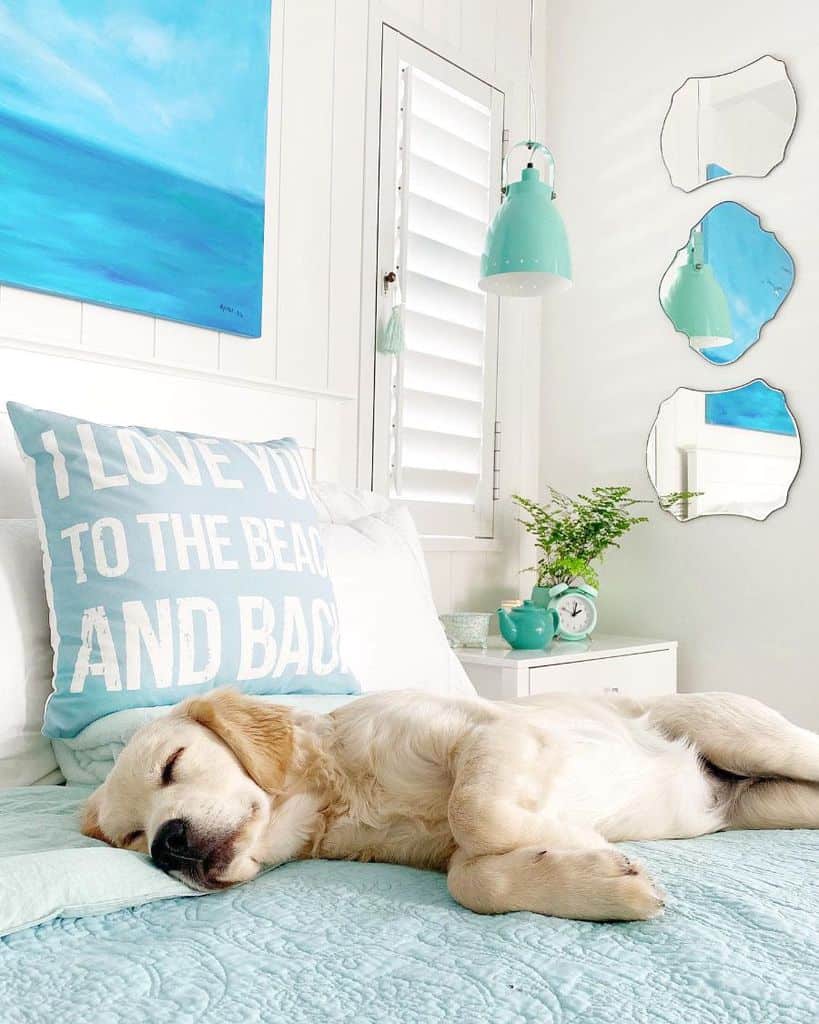 Coastal bedroom with blue decor, sleeping dog, and beach-themed pillow on white bed.