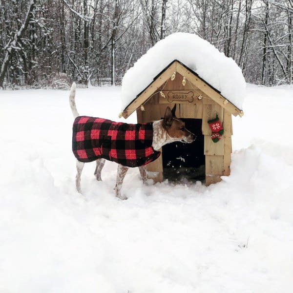 Dog wearing a red plaid coat standing next to a snow-covered dog house, with a small wreath decoration, surrounded by snow