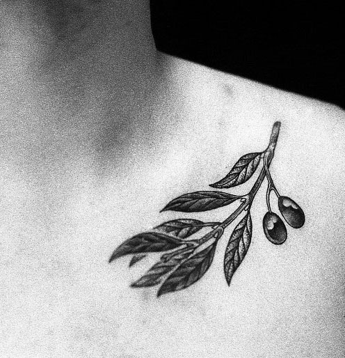 Collar Bone Male Olive Branch Tattoos