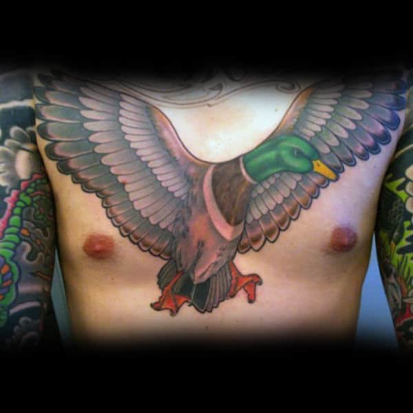 Colorful Chest Piece On Male Of Mallard Flying