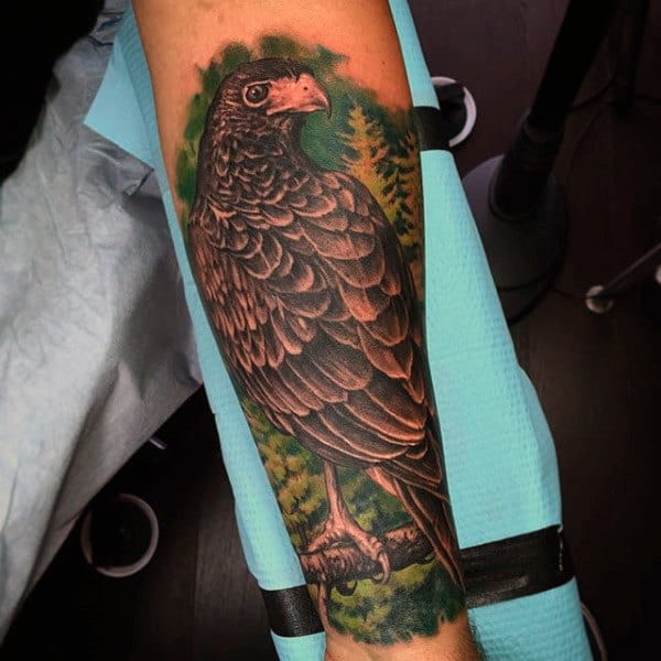 Colorful Hawk In Tree Half Sleeve Tattoo For Men