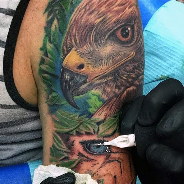 Colorful Realistic Hawk Head Tattoo On Male Half Sleeve