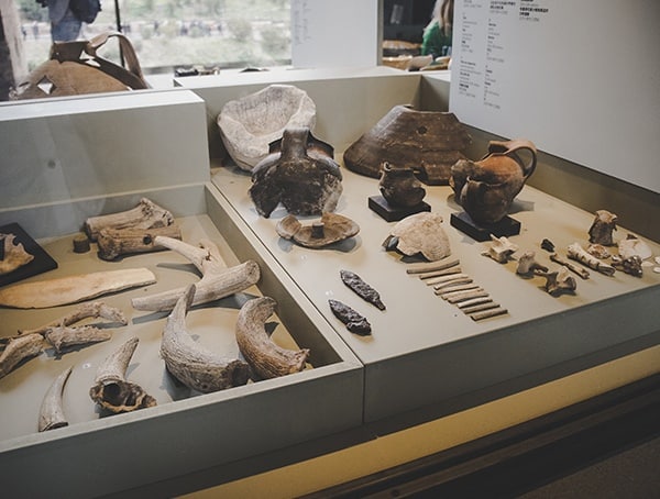 Colosseum Museum Artifacts Details