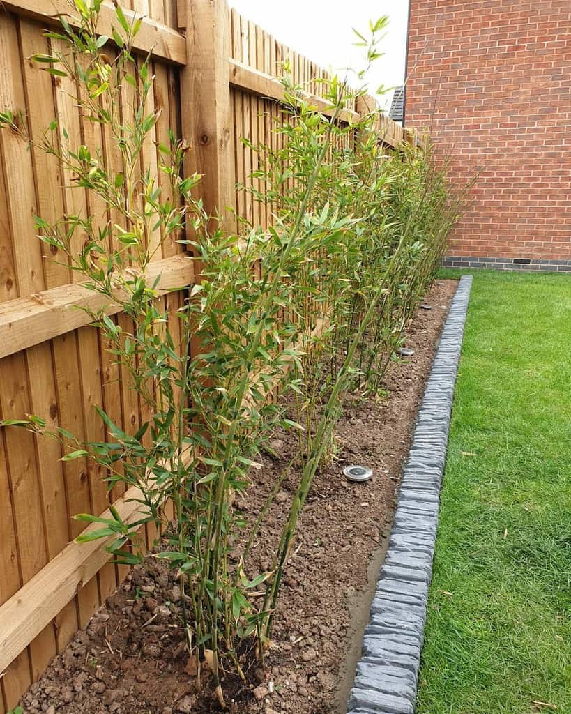concrete render garden edging wood fence grass