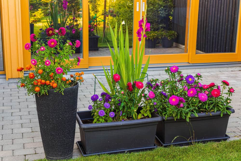black container garden flower bed