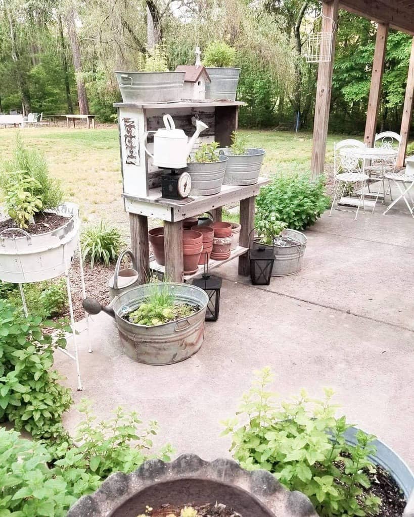 container herb garden pot plants