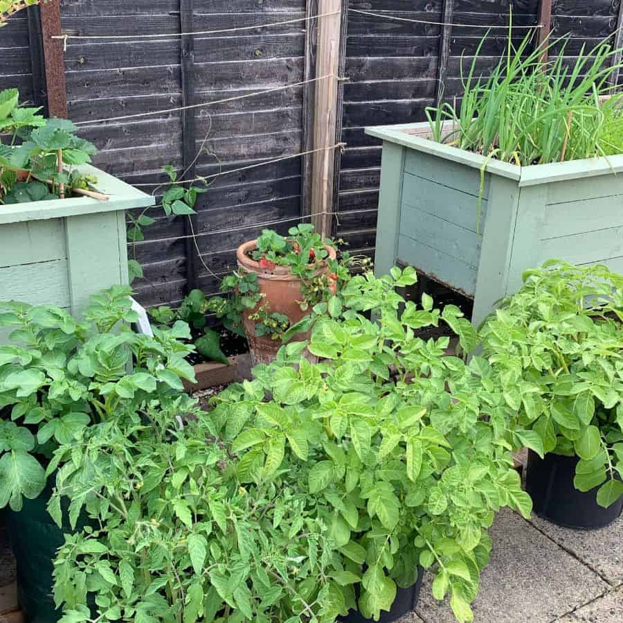 green container vegetable garden