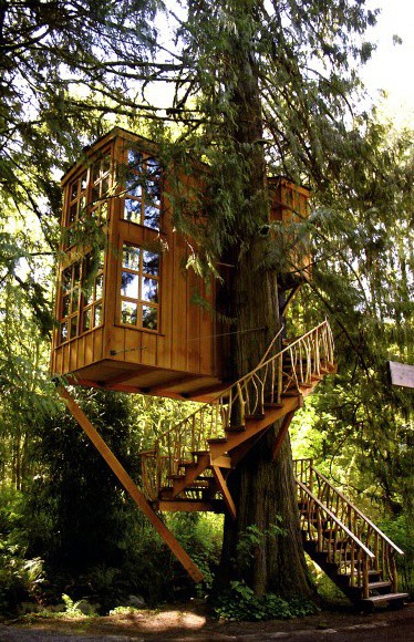 Wooden treehouse with glass windows and spiral staircase, nestled in a lush forest setting