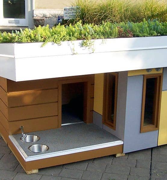 Modern doghouse with a green roof, wooden siding, and bowls on a paved surface for your happy dog