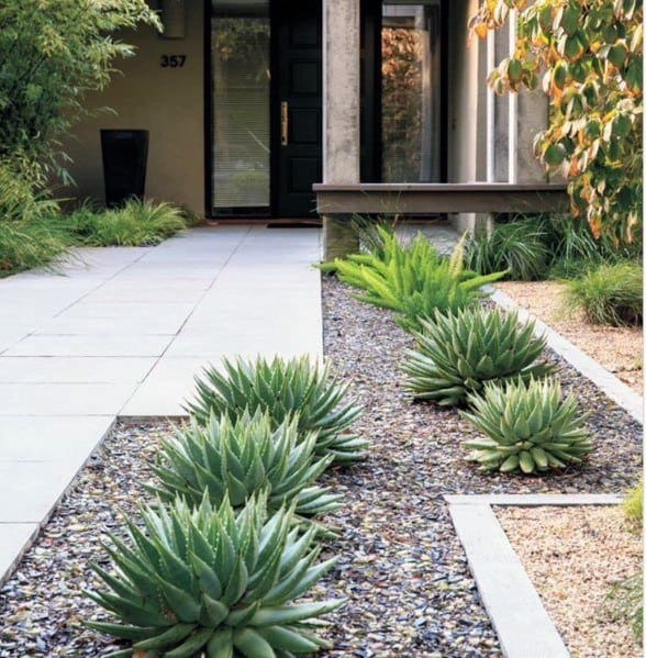 contemporary driveway desert landscaping aloes plants 