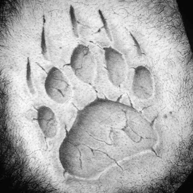 Cool Bear Claw Stone Mens Chest Tattoos