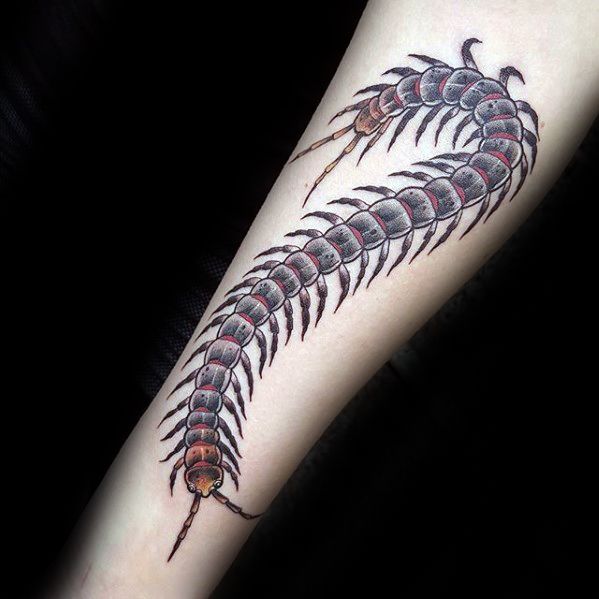 Cool Centipede Tattoo Design Ideas For Male On Inner Forearm