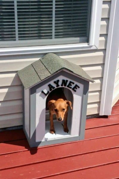 Cool Doggy Dog House Themed Door Design Ideas For Pets