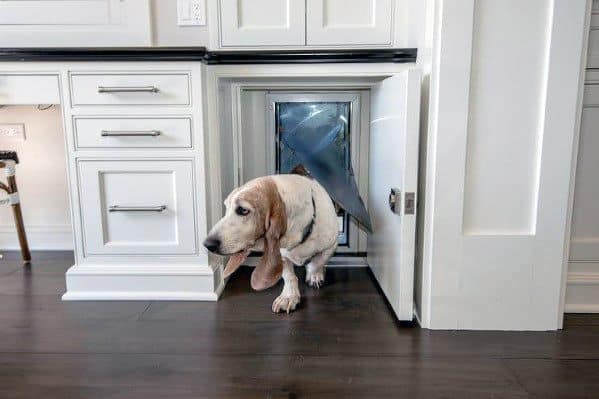 Cool Doggy Door Built In Kitchen Cabinets